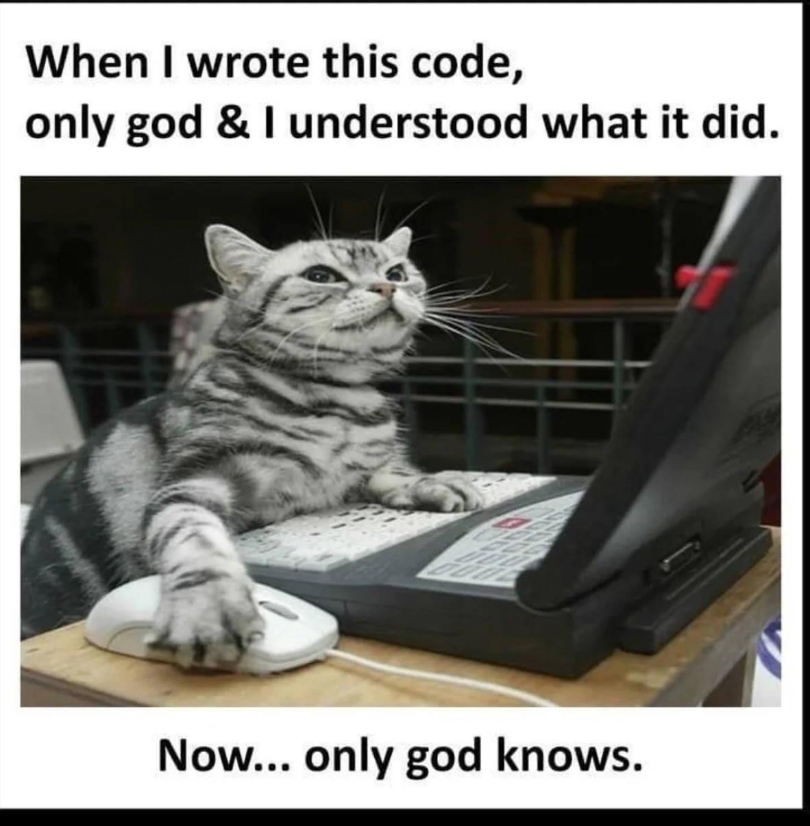 A tabby cat with a paw on a computer mouse in front of a laptop. Caption: 'When I wrote this code, only god & I understood what it did. Now... only god knows.'